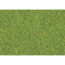 Blended turf Green Blend (Gräsblandning)