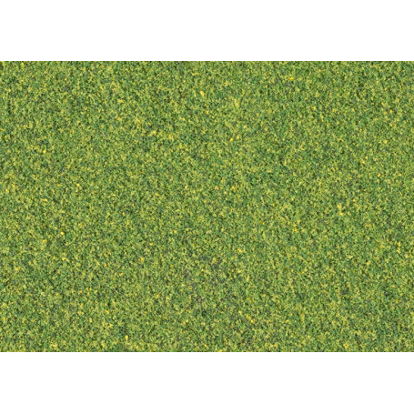 Blended turf Green Blend