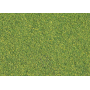 Blended turf Green Blend (Gräsblandning)