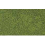 COARSE TURF Light Green