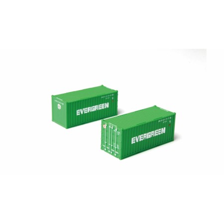 20' Container Evergreen, 2 St (z)