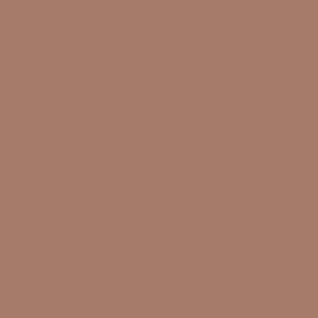 Cork Brown - Vallejo 70843