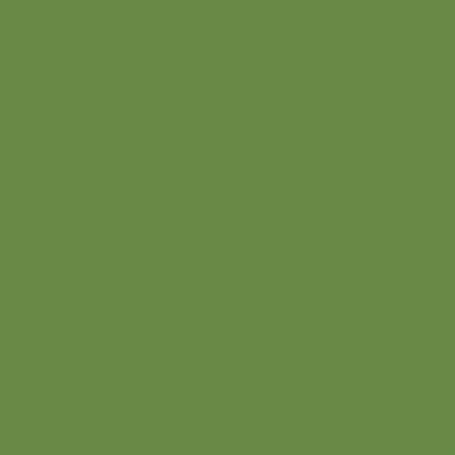 Olive Green - Vallejo 70967