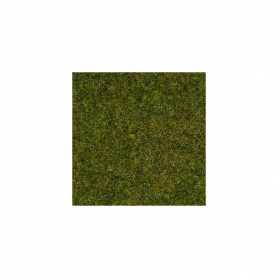 Gräs äng 2,5 mm -Noch 08312